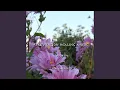 Improvisation Healing Music