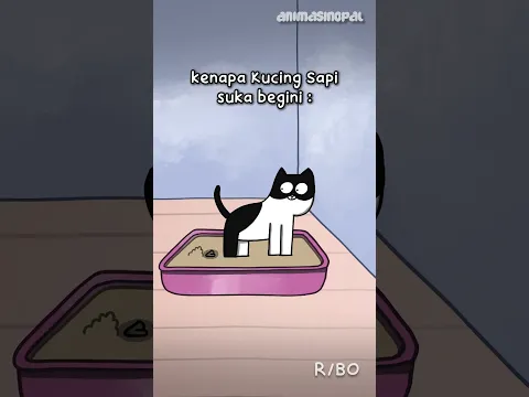 KENAPA YA KUCING HITAM-PUTIH SELALU BEGINI? 😭😭