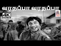 Download Lagu Varadhappa Varadhappa M.S.விஸ்வநாதன் இசையில் T.M.சௌந்தர்ராஜன் பாடிய பாடல் வரதப்பா வராதப்பா காஞ்சி