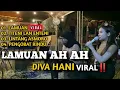 Download Lagu DIVA HANI - LAMUAN AH AH VIRAL TIKTOK