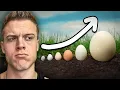 The Biggest And Smallest Eggs In The World