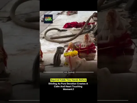 Heart Touching moment 😍 || #shorts