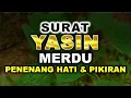 Download Lagu MUROTTAL ALQURAN MERDU SURAT YASIN MERDU MENYENTUH HATI MUROTTAL ALQURAN PENENANG HATI DAN PIKIRAN