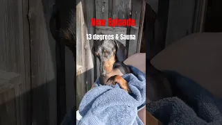 Sailing and Missing our granddog ❤️ – Emotional goodbyes – watch on YT