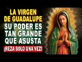 ORACIÓN MILAGROSA A LA VIRGEN DE GUADALUPE 🌹 PARA PEDIR UN IMPOSIBLE 🙏