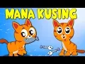 Download Lagu MANA KUCING - Lagu Kanak - Kartun Kanak-Kanak - Lagu Kucing