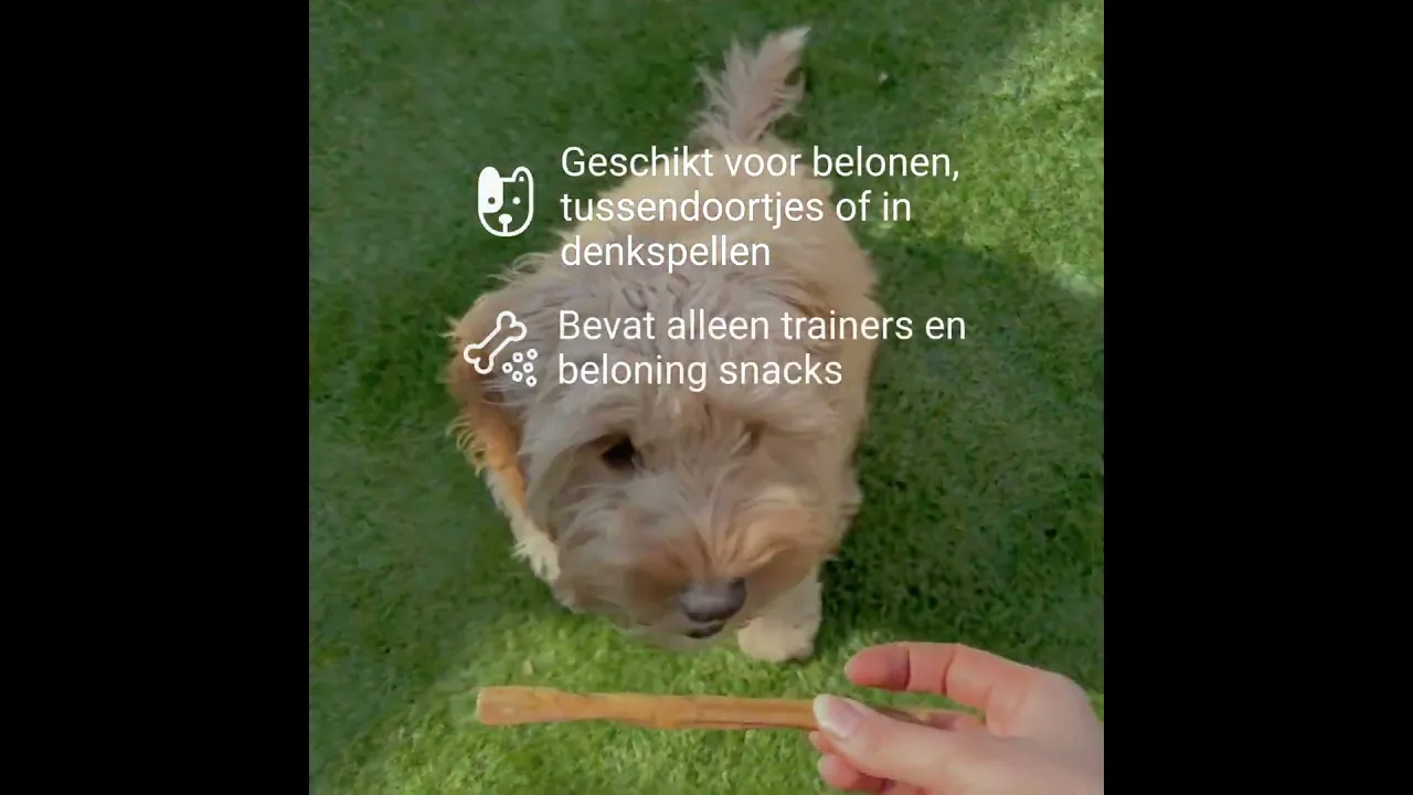 Beloningsbox