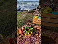 Making picnics easy with Flat Stacks