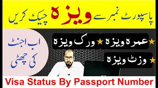 How to check work visa status online with passport number Visa status in saudi embassy Saudiinfo