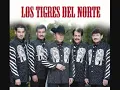 La puerta negra los tigres del norte