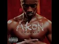 Akon Feat. Vishal Dadlani & Shruti Pathak - Criminal ( 2o11 )