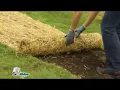 EZ-Straw Seeding Mulch with Tack - Biodegradable Organic Processed Straw