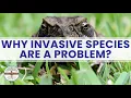 Why Invasive Species Are a Problem Dynamic Earth Learning