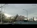 New York S02E43 Long Island Horace Harding Expressway