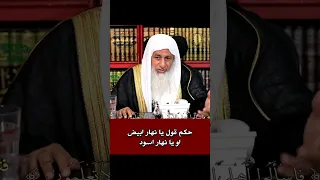 حكم قول ما جري علي لسان الناس يا نهار ابيض يا نهار اسود  الشيخ مصطفى العدوي دندنها