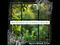 Lingering in the Palms of Rain (KeyB Version)