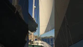 Sailing into the anchorage #shorts