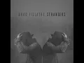 Strangers - Brad Fillatre