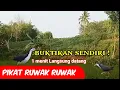 Download Lagu Suara burung truwok pemikat truwok jantan dan betina MP3
