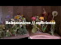 Babasonicos, suficiente // Letra