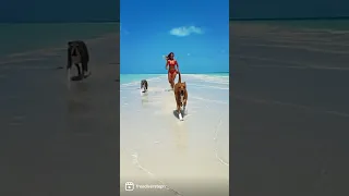 Practicing our baywatch run:) how’d we do?