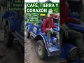 Download Lagu ORGULLO CAMPESINO EN COLOMBIA ☕🌿🇨🇴#vidacampesina #colombiabonita #youtubeshorts