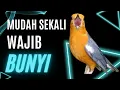 Download Lagu 137 | DIJAMIN !! PASTI IKUT BUNYI !! SUARA ANIS MERAH GACOR PANCINGAN TERCEPAT BIKIN BUNYI GACOR MP3