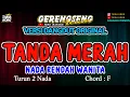 Download Lagu TANDA MERAH KARAOKE!! Ade Astrid | BAJIDOR
