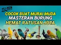Download Lagu Kompilasi MASTERAN PALING AMPUH MUDAH DITIRU PASS UNTUK BURUNG FIGHTER‼️
