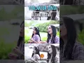 Download Lagu B-Three Star - Terlanjur Cinta #shorts #horasbtbstudio #bthreestar #terlanjurcinta #lagubatak