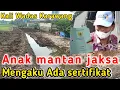 Lagu WADUH ‼️Anak Mantan JAKSA mengaku ada sertifikat #dedimulyadi 