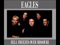Joe Walsh And The Eagles Life’s Been Good Live In Missouri 1994