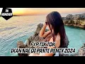 Download Lagu DJ IKAN NAE DI PANTE VIRAL TIK TOK 2024_TN REMIXER 2024
