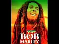 Bob Marley - Hotel California  ( Reggae Remix)