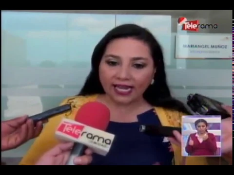 Exoneración impuestos a empresas mineras saldría de proyecto ley plusvalía