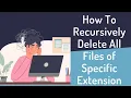 How To Recursively Delete Files of a specific extension in Linux