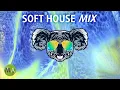 Download Lagu Upbeat Study Music Soft House (Koala Mix) - Peak Focus Beta Isochronic Tones