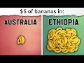 banana for scale
