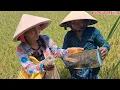 Download Lagu Bữa Nay Đi Đặt Lộp Dính Được Ếch Đem Về Kho Nghệ … Ai Ăn Cũng Ngon Miệng  CSMT
