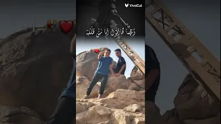 طول ما في ضهرك اخ يسد 
