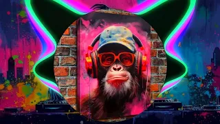 كوكتيل ترندات مهرجانات لكل الافراح يالهوي يامدلع يامدلع ايه دا ايه دا مش هروح ضيعنا 