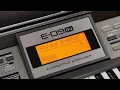 ROLAND E-09IN INDIAN TONES DEMO 2021 DEMO V ROCK