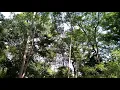 Download Lagu Lawkana bainanal habib - Ai Khadijah ( COVER VIDEO CLIP )