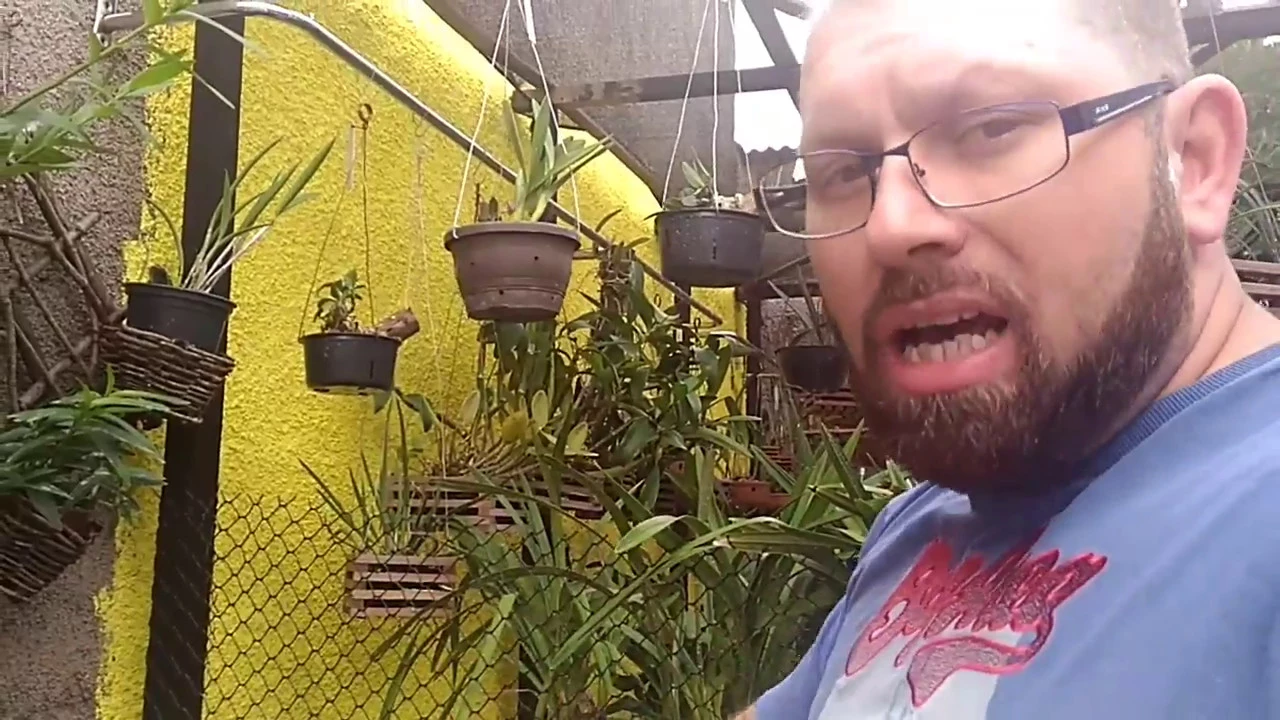 ILUMINAÇÃO PARA ORQUÍDEAS