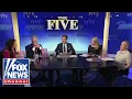 The Five s Dana Perino s novel Purple State