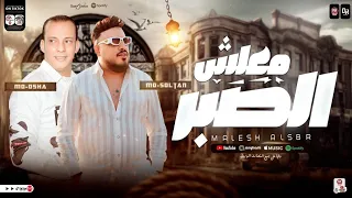 معلش الصبر انا لله فوضت الأمر محمد سلطان و اوشا مصر توزيع جديد تريند التيك توك جديد2024 