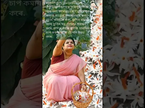 শেৱালি ফুলৰ উপকাৰীতা //
