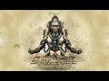 Shivatree - Digital Space