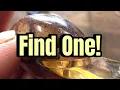 Do Whatever It Takes To Find THIS Discontinued Lure