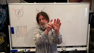4 Human Behavioral Biology Evolution of Behavior 3 by Robert Sapolsky